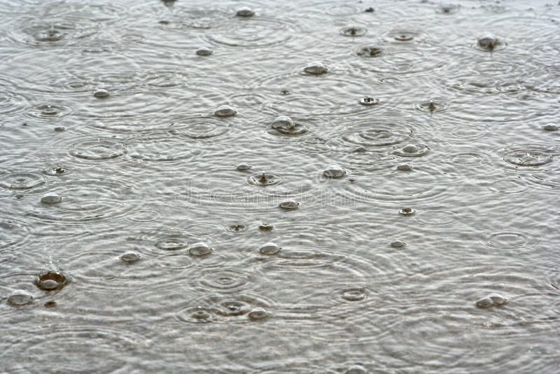 The surface of a water puddle as rain drops in. The surface of a water puddle as rain drops in
