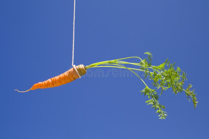 The Bait. A carrot in the sky, like a bait The Bait. A carrot in the sky, like a bait