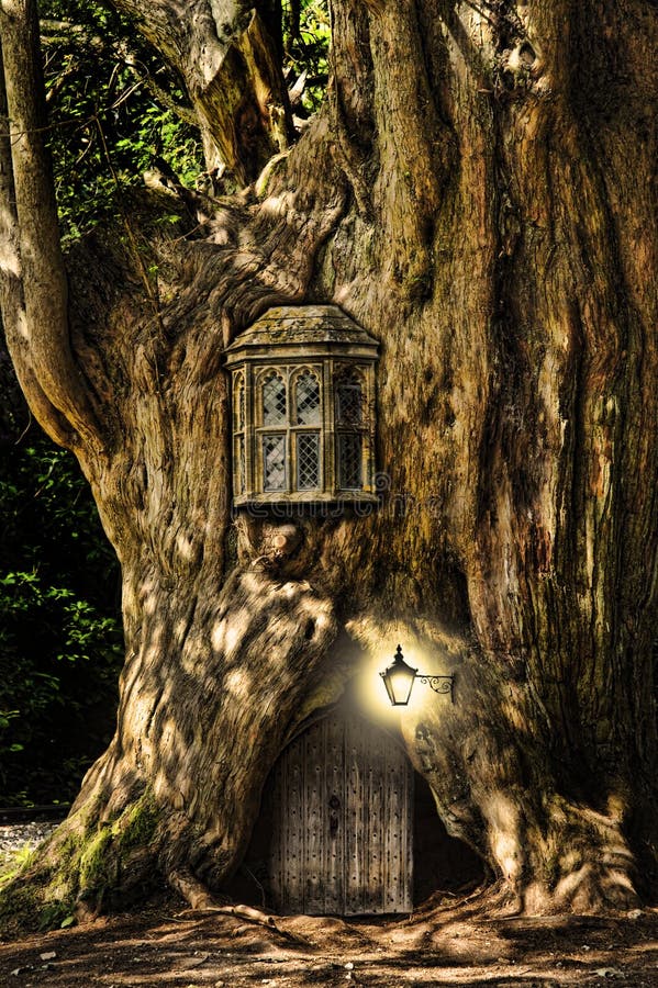 Fairytale fantasy house in tree trunk in forest. Fairytale fantasy house in tree trunk in forest