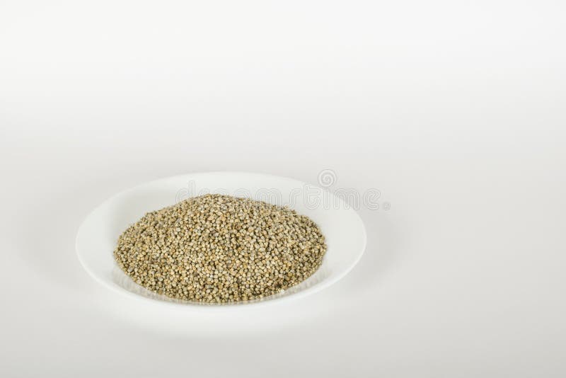 Bajra (pärlemorfärg hirs) royaltyfri foto Bajra (pärlemorfärg hirs) royaltyfri foto