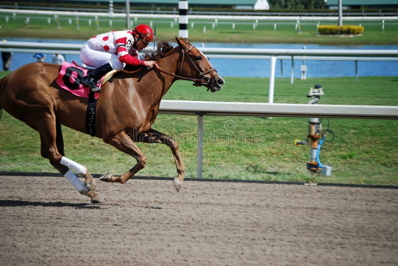 Bal Harbour Baby a four year old Florida bred fillie fianlly winning her frist race at Gulfstream Park,Hallendale,Florida. Bal Harbour Baby a four year old Florida bred fillie fianlly winning her frist race at Gulfstream Park,Hallendale,Florida.