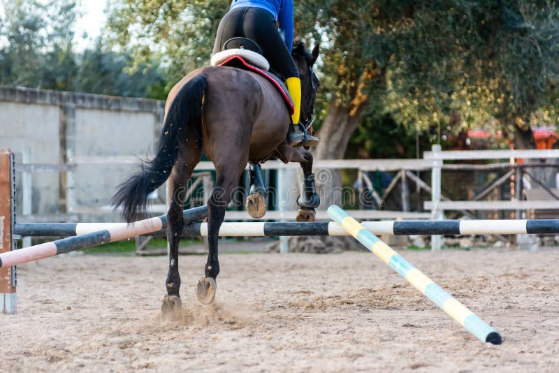 Bak side of Girl riding brown horse that jumps an obstacle with guides. Equestrian school training concept. horse that learns to jump properly an obstacle royalty free stock photo Bak side of Girl riding brown horse that jumps an obstacle with guides. Equestrian school training concept. horse that learns to jump properly an obstacle royalty free stock photo