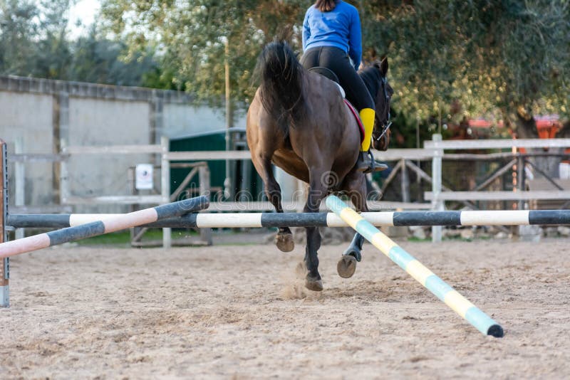 Bak side of Girl riding brown horse that jumps an obstacle with guides. Equestrian school training concept. horse that learns to jump properly an obstacle stock photo Bak side of Girl riding brown horse that jumps an obstacle with guides. Equestrian school training concept. horse that learns to jump properly an obstacle stock photo