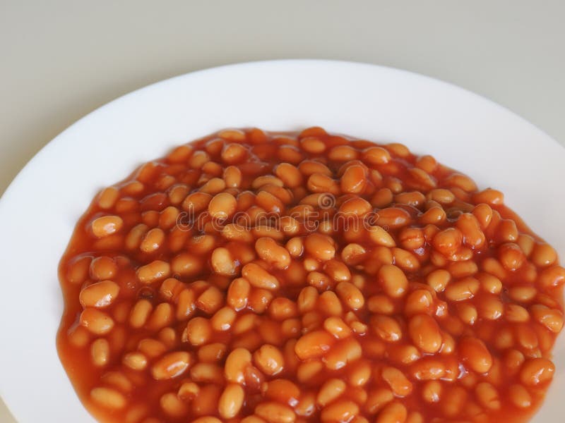 Baked beans food stock photo. Image of bean, dish, diet 90921708