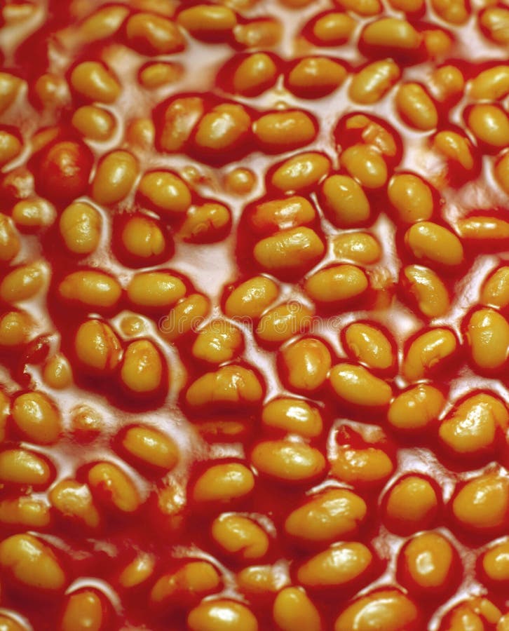 Baked Beans In Tomato Sauce Stock Image Image 319731 baked-beans-in-tomato-sauce-stock-image-image-319731