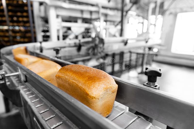 Baked Breads on Automatic Production Line Bakery from Hot Oven Stock Photo Image of bakery