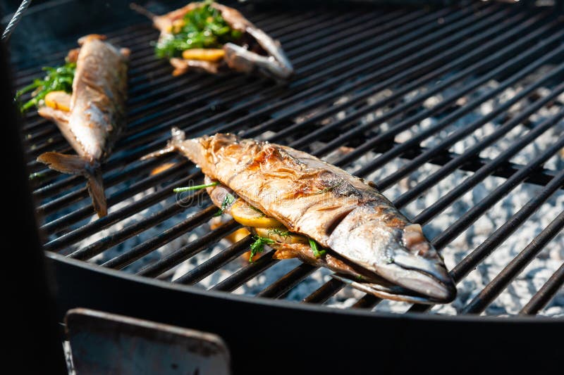 Baked Mackerel Full Fish on Grill Outdoors Stock Image Image of close
