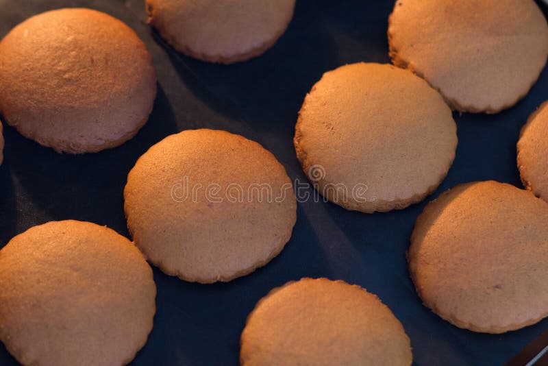 Baked Round Gingerbread Cookies after Baking on the Teflon Baking Sheet