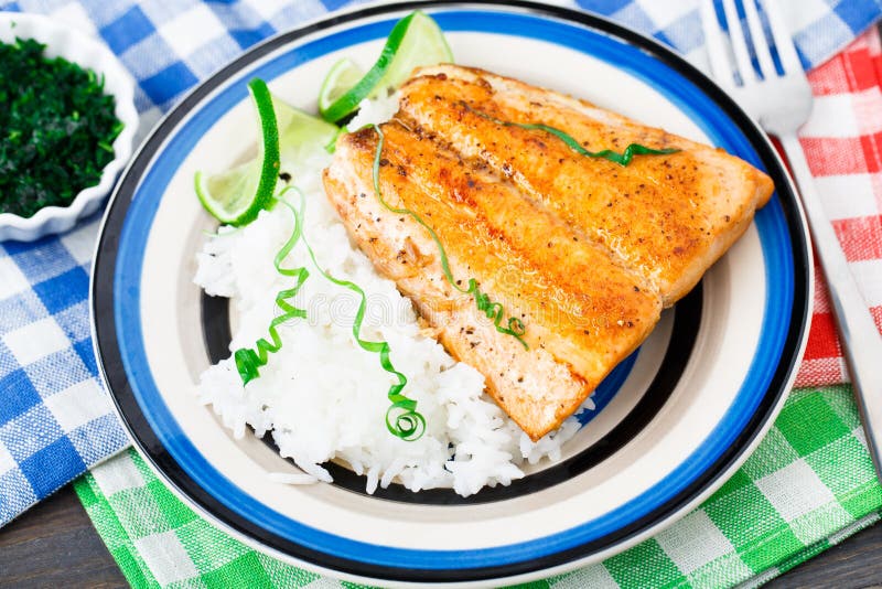 Baked salmon with rice stock photo. Image of scallion 38446524