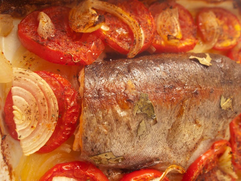 Baked Trout for Mediterranean Recipe Stock Photo Image of meal