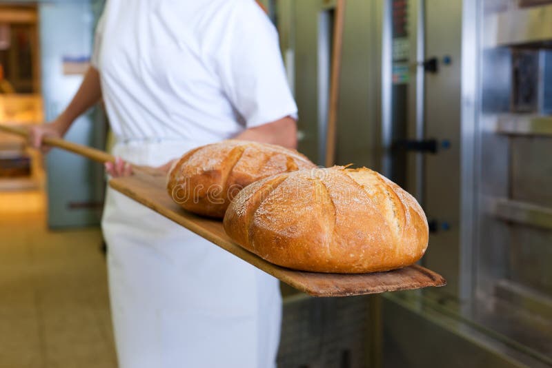 Panadero horneando fresco pan en desplegado eso sobre el pala.