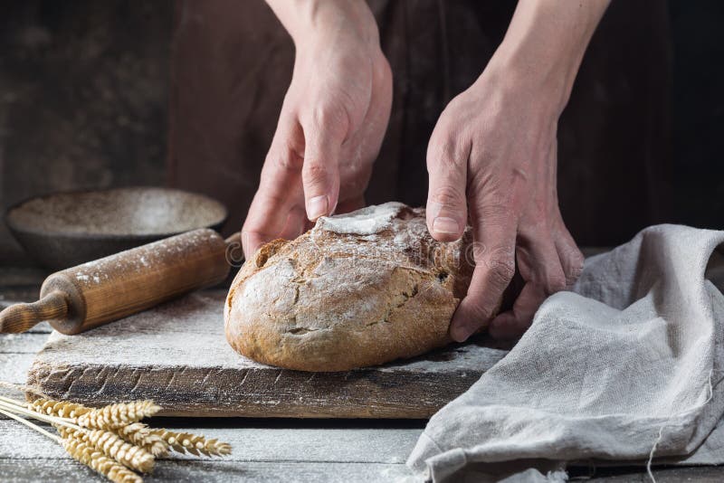 Baker cooking bread. stock photo. Image of food, male - 145670504