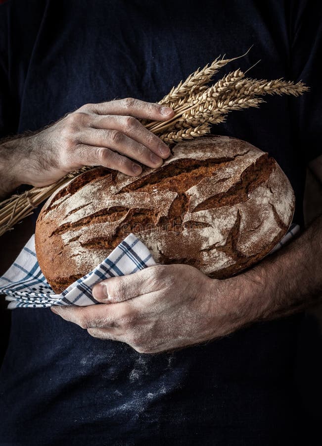 Baker man holding rustic loaf of bread and wheat in hands