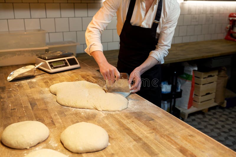 Baker Portioning Dough with Bench Cutter at Bakery Stock Photo Image