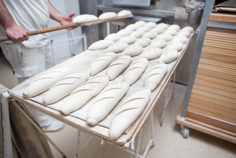 Baker Putting Dough into the Oven Stock Image Image of pushing