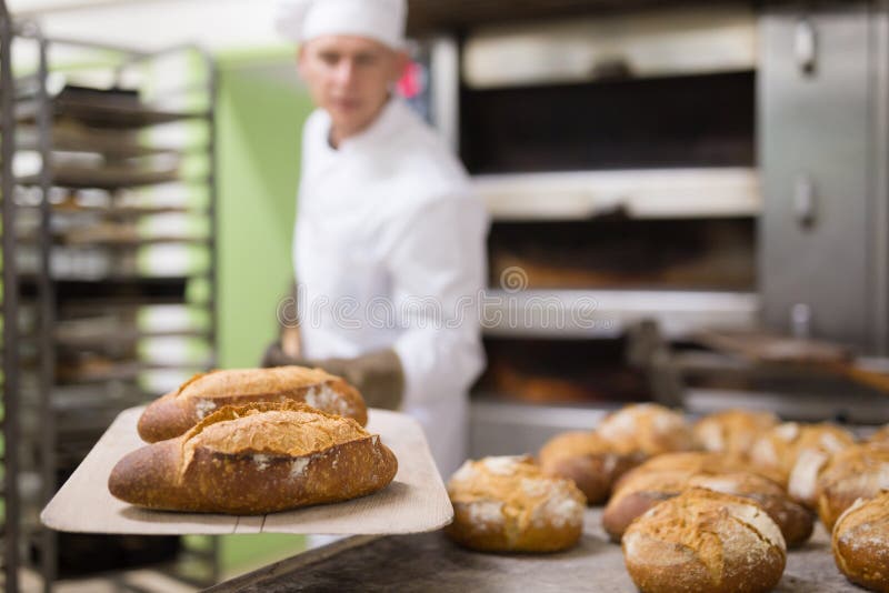 Baker Takes Out Hot Bread from Oven Stock Photo Image of pastry, experienced 259123374