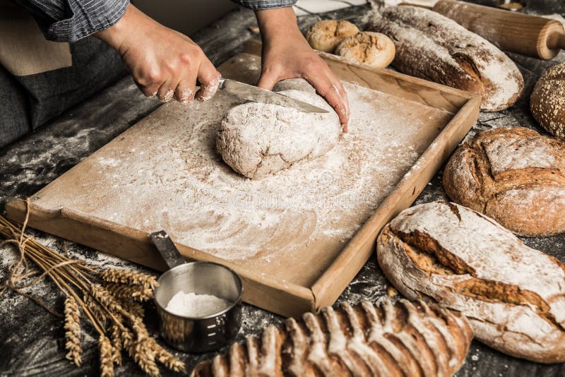 Bakery Baker`s Hands and Raw Dough Making Bread Stock Image Image