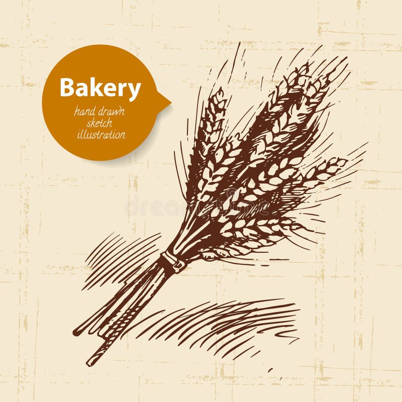Bakery Sketch Vector Poster of Bread Stock Vector Illustration of