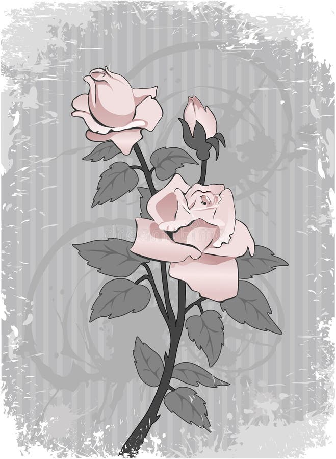 Bakground with pink rose royalty free illustration