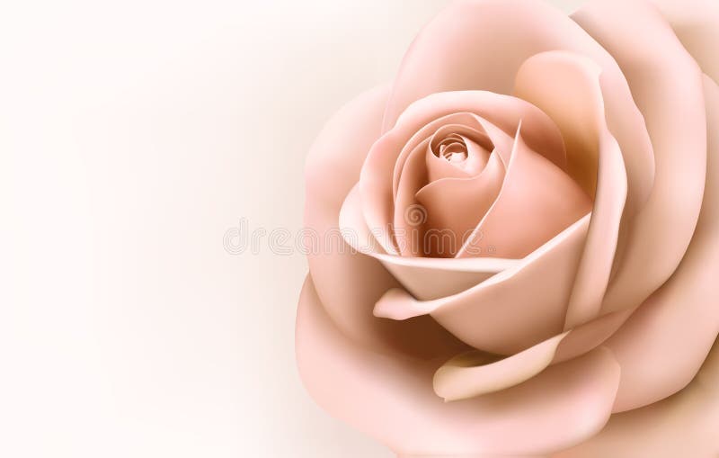 Bakgrund med den härliga rosa färgrosen. stock illustrationer