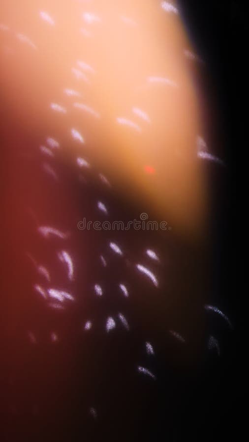 bakgrund suddigheta lampor Abstrakt defocused guld, rött och guling blänker textur på svart bakgrund Skinande glöda royaltyfria bilder bakgrund suddigheta lampor Abstrakt defocused guld, rött och guling blänker textur på svart bakgrund Skinande glöda royaltyfria bilder