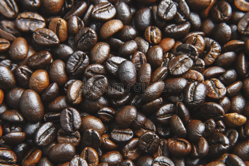 Bakgrund till nyligen rostade kaffebönor. Bakgrund till kaffet av rostat kaffe. brun naturlig bakgrund. Rostade bruna kaffebönor. översta vyn. kaffepunktur. Bannerkaffebönor med kopieringsutrymme