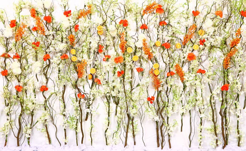 bakgrundblomma arkivbilder bakgrundblomma arkivbilder