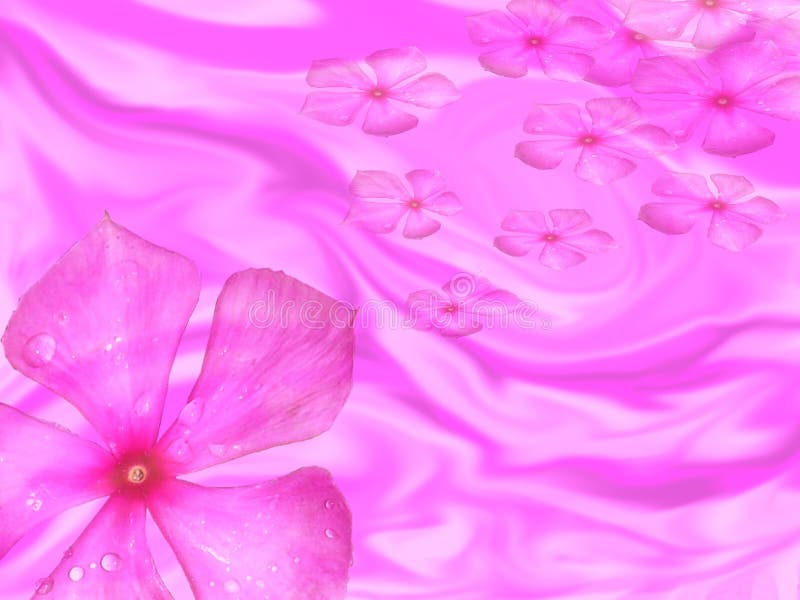 Bakgrundsblommavintergröna arkivbild