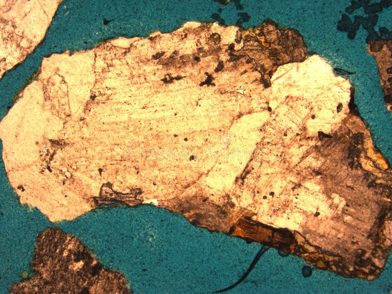 Bakgrundstextur vaggar och mineraler royaltyfri fotografi