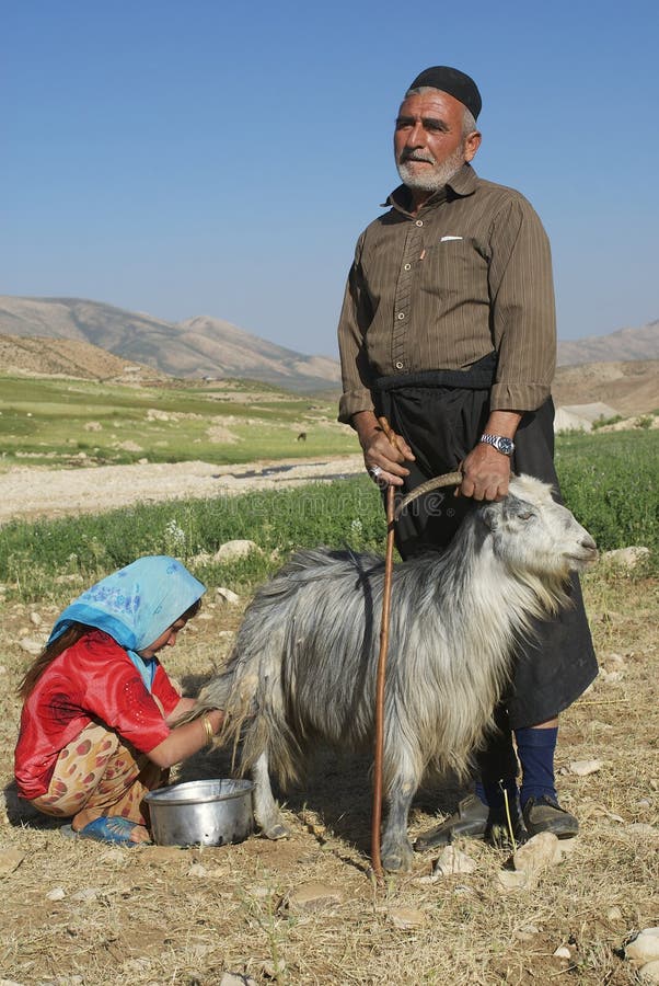 Bakhtiari People Milk Goat Circa Isfahan, Iran. Editorial ...