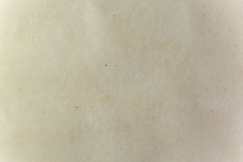 Baking Parchment Paper Stock Photo - Download Image Now - Wax