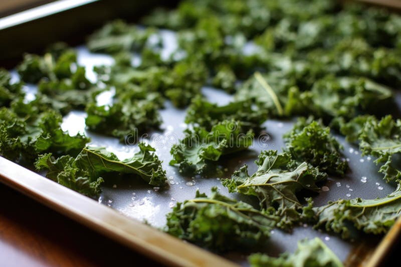Foi de coacere cu așchii de varză de casă royalty free stock photo