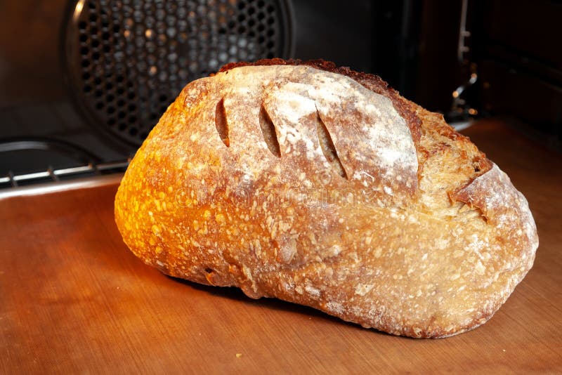 Baking Sourdough Bread in an Oven Stock Image Image of loaf, homemade