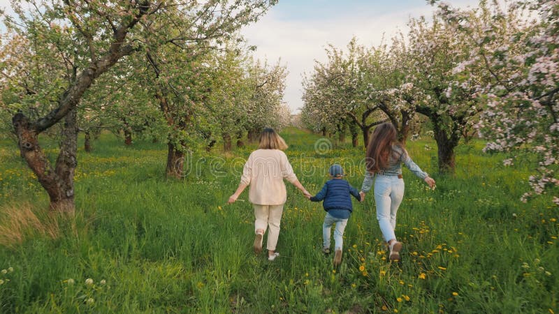 Baksida av en kvinna med sina barn som går genom en blommande äppelfruktträdgård