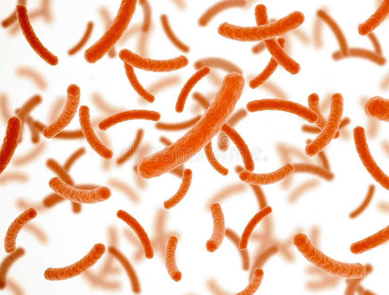 Bakterieceller orange mikroskopi på vit bakgrund vektor illustrationer