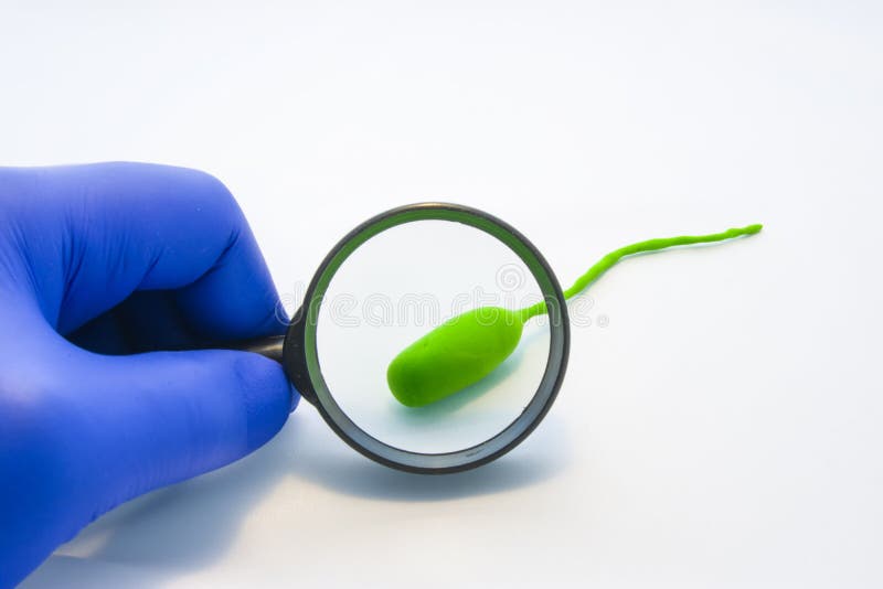 Bacteria microbiology test or analysis concept photo. Doctor, technician or scientist looks at model bacterial cell through magnifying glass on white background. Diagnostics of microbial pathogens. Bacteria microbiology test or analysis concept photo. Doctor, technician or scientist looks at model bacterial cell through magnifying glass on white background. Diagnostics of microbial pathogens