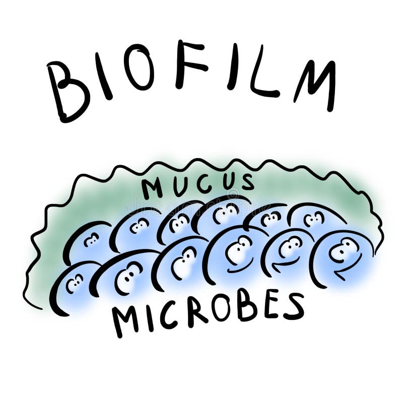 Biofilm