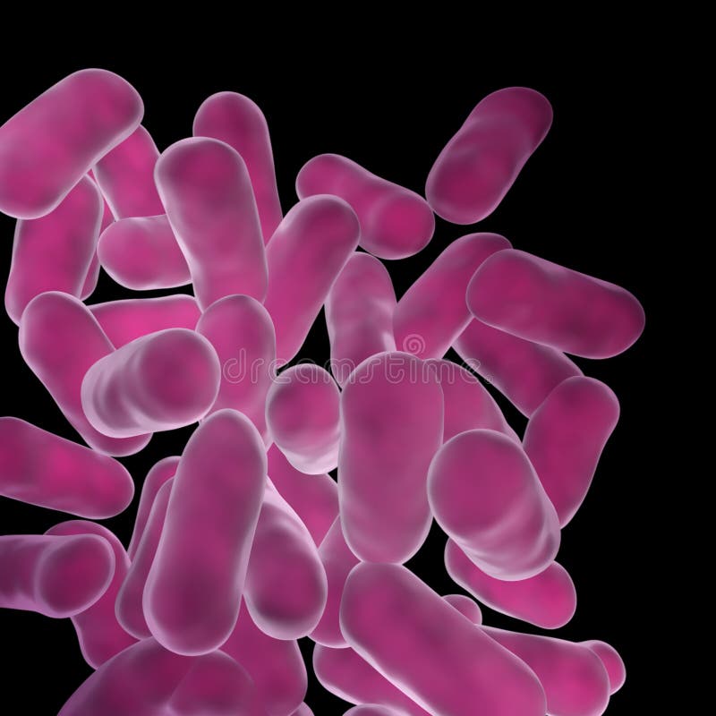 bakterii lactobacillus ilustracji bakterii lactobacillus ilustracji