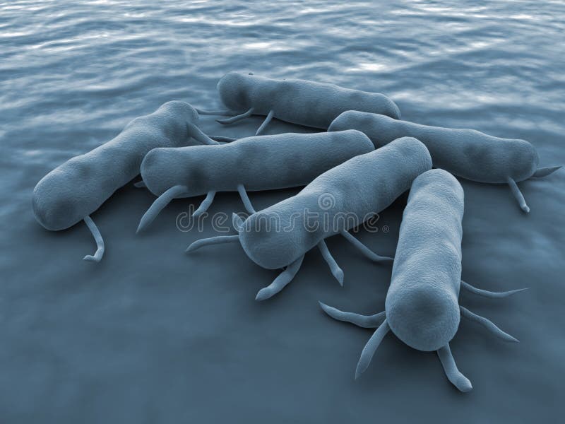 bakterii salmonella ilustracja wektor bakterii salmonella ilustracja wektor