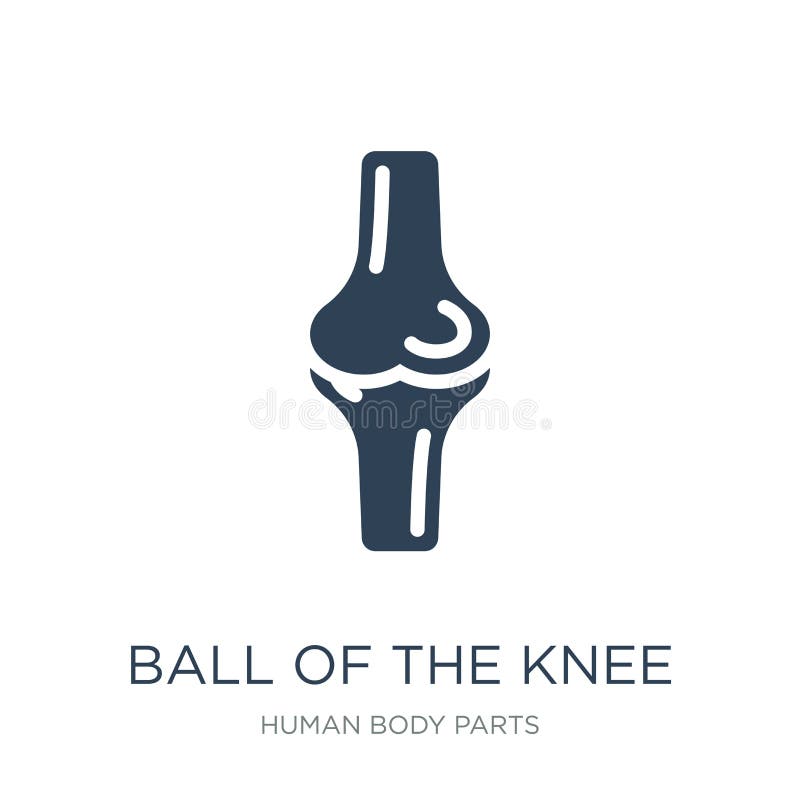 bal van het kniepictogram in in ontwerpstijl bal van het kniepictogram op witte achtergrond wordt geïsoleerd die bal van het knie vector illustratie bal van het kniepictogram in in ontwerpstijl bal van het kniepictogram op witte achtergrond wordt geïsoleerd die bal van het knie vector illustratie