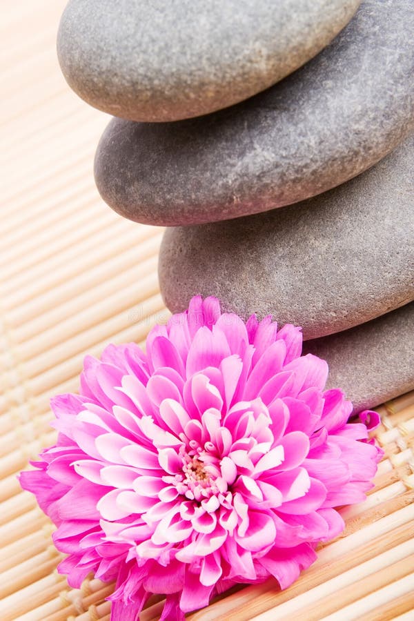 Balanced Stones with Flower Stock Image Image of healthcare, balance