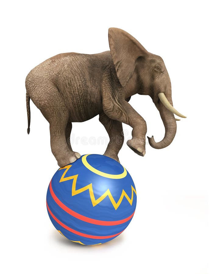 Elephant balance on ball on white. Elephant balance on ball on white