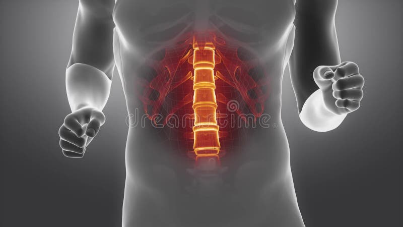 Scan d'articulation d'un homme en course en boucle illustration libre de droits