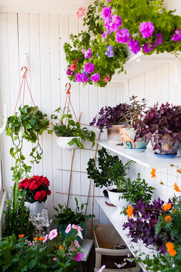 Balcone con i fiori fotografia stock