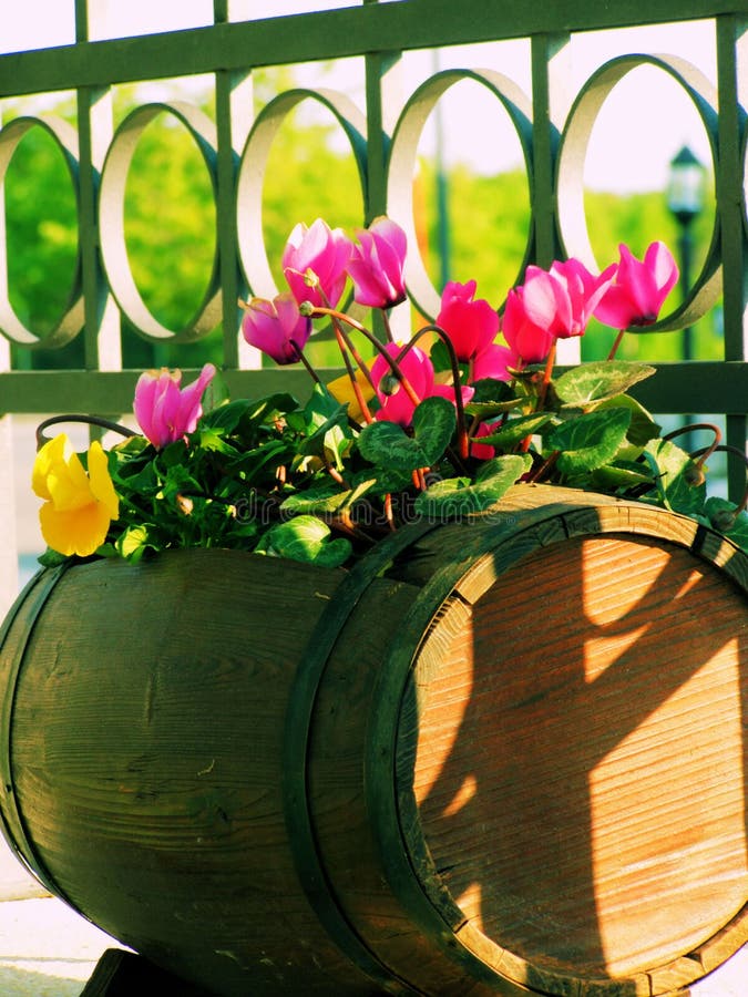 Balcony flowers stock images Balcony flowers stock images