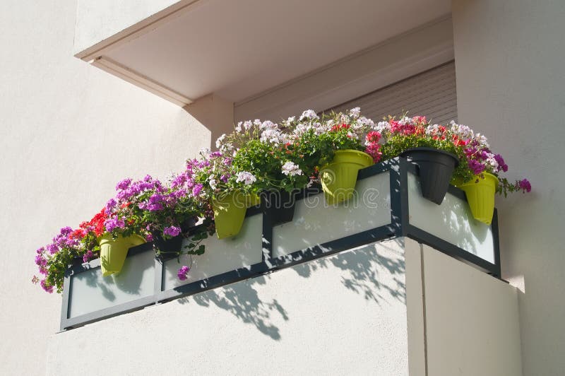 Balcony with flowers stock photo. Image of petunia, decor 76057952