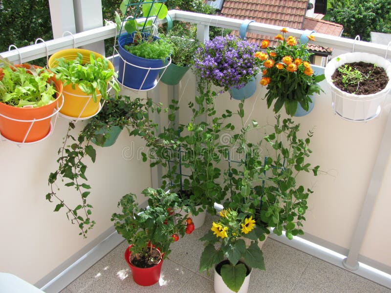 Balcony with flowers and vegetables