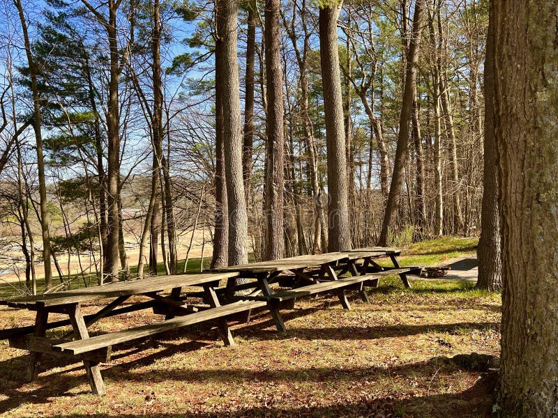 Bald Eagle State Park in PA Stock Photo Image of park, winter 275907412