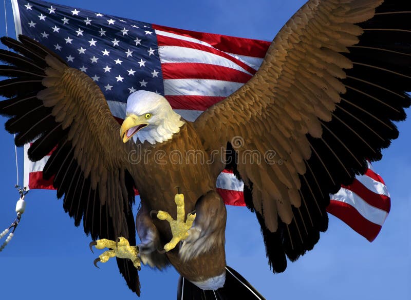 American bald eagle stock vector. Illustration of concept - 40522242