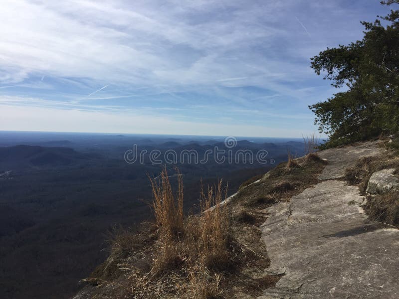 Bald Knob NWR March 2017, a Killdeer Looking for a Nesting Spot Along